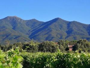 Pavillon charmant avec mezzanine, piscine et commodités à proximité - Argelès-sur-Mer - FR-1-732-73
