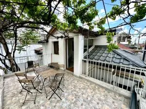 Interbelic house with courtyard and terrace - Herestrău