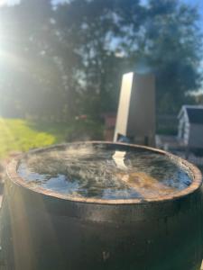 Bluebell Tent at Ballyward Croft