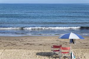 Il Conte e La Contessa img3