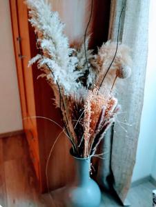 Maison village appartement RDC avec terrasse