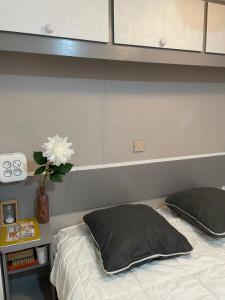 Campings Camping Oasis village : photos des chambres