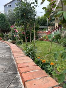 Illirian Elite Tirana