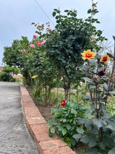 Illirian Elite Tirana