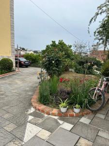 Illirian Elite Tirana