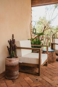 Hábimo - Valle de Guadalupe