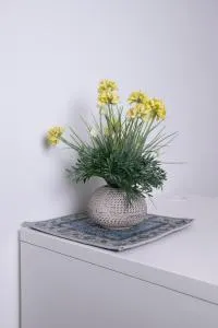 Villa Ninfa Alburnea - Casale Vignarola