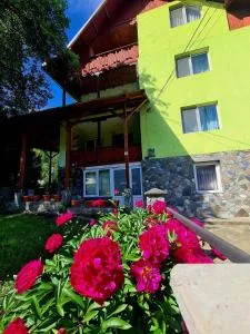 Vila Giulia Voineasa - Voineasa