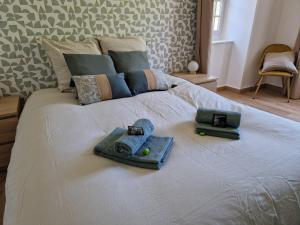 Appartements Gite Des Tables - Cathedrale, Coeur historique, Vue : photos des chambres