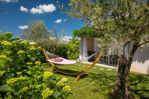 Beautiful Villa GF25 with pool in Visnjan