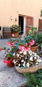 B&B / Chambres d'hotes Chambre privee, piscine, pool house, cuisine d'ete : photos des chambres