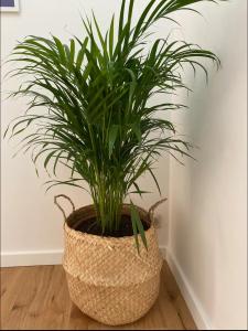 Maison bord de mer avec jacuzzi