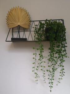 Appartements Gite entre Beaujolais & Maconnais : photos des chambres
