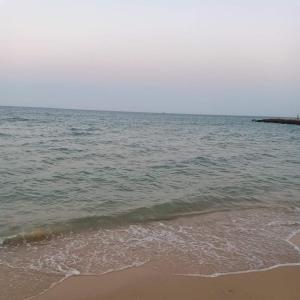 شالية بقرية بالميرا