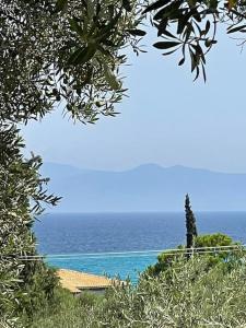 Stylish Pool Villa Konstantinidis Complex