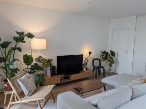 Appartements Spacieux Duplex : photos des chambres