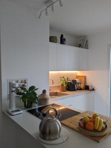 Appartements Spacieux Duplex : photos des chambres