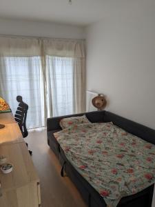 Appartements Spacieux Duplex : photos des chambres