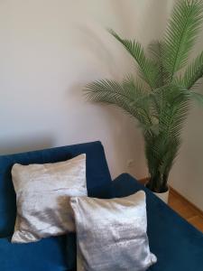 DOWNTOWN Fiume, underground Garage within the property 