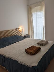 Appartements Spacieux Duplex : photos des chambres
