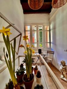 Casa vacanze ViaColoniola37