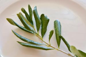 Liston Family Apartment