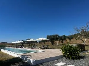 Herdade dos Sepol - Trigaches