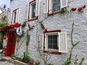 kaktüshan otel - 卡法斯