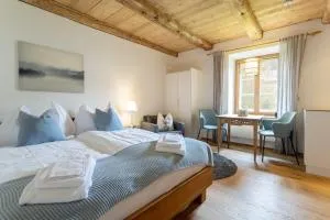 Chesa-Strimer - Studio - 拉蓬