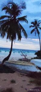 yasmin ecohouse zanzibar