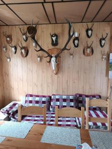 Casa Vanatorului Buzaiel