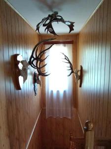 Casa Vanatorului Buzaiel