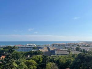 Spacieux T3 terrasse vue mer