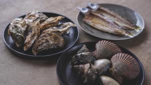 cometa伊勢志摩の一番星Venusウィーナス