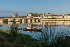 Appartements Le Wilson - Vue Imprenable sur la Loire et le chateau de Blois : photos des chambres