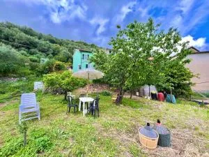 [AC & Garden] Olive Grove Oasis - Testico