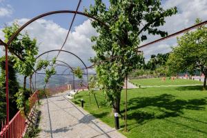 Feel Discovery Villa Aura Douro Valley