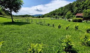 GUESTHOUSE Idila pod Nanosom