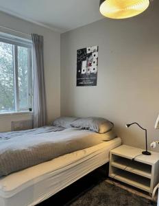 Lovely downtown Reykjavik apartment,Great location