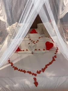 Appartements Lyn-SPA : photos des chambres