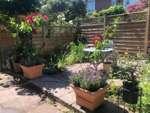 UNIQUE beautiful peaceful conservation area - 20m to town