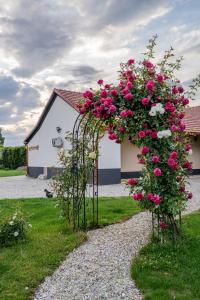 Apartma in wellness Čista fantazija 