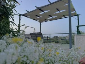 Afroditis House studioB4