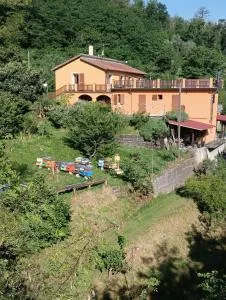 #bordigona - Carrodano Inferiore