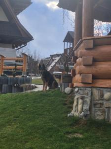 Apartamenty i Pokoje w Willi na Ubocy