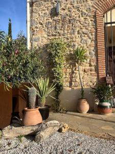 Maisons de vacances Maison Bacchus, gite insolite dans cuve a vin : photos des chambres