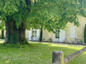 B&B / Chambres d'hotes Chateau Lafite Monteil - proche Bordeaux : photos des chambres