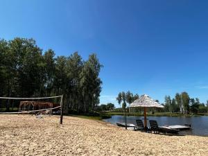 Auksinio elnio slėnis