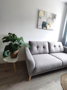 Appartements Home Suite Metz & Place de parking privee : photos des chambres