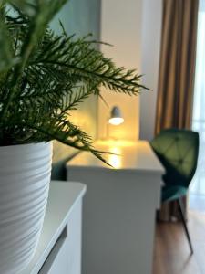 Central Cosy Apartment